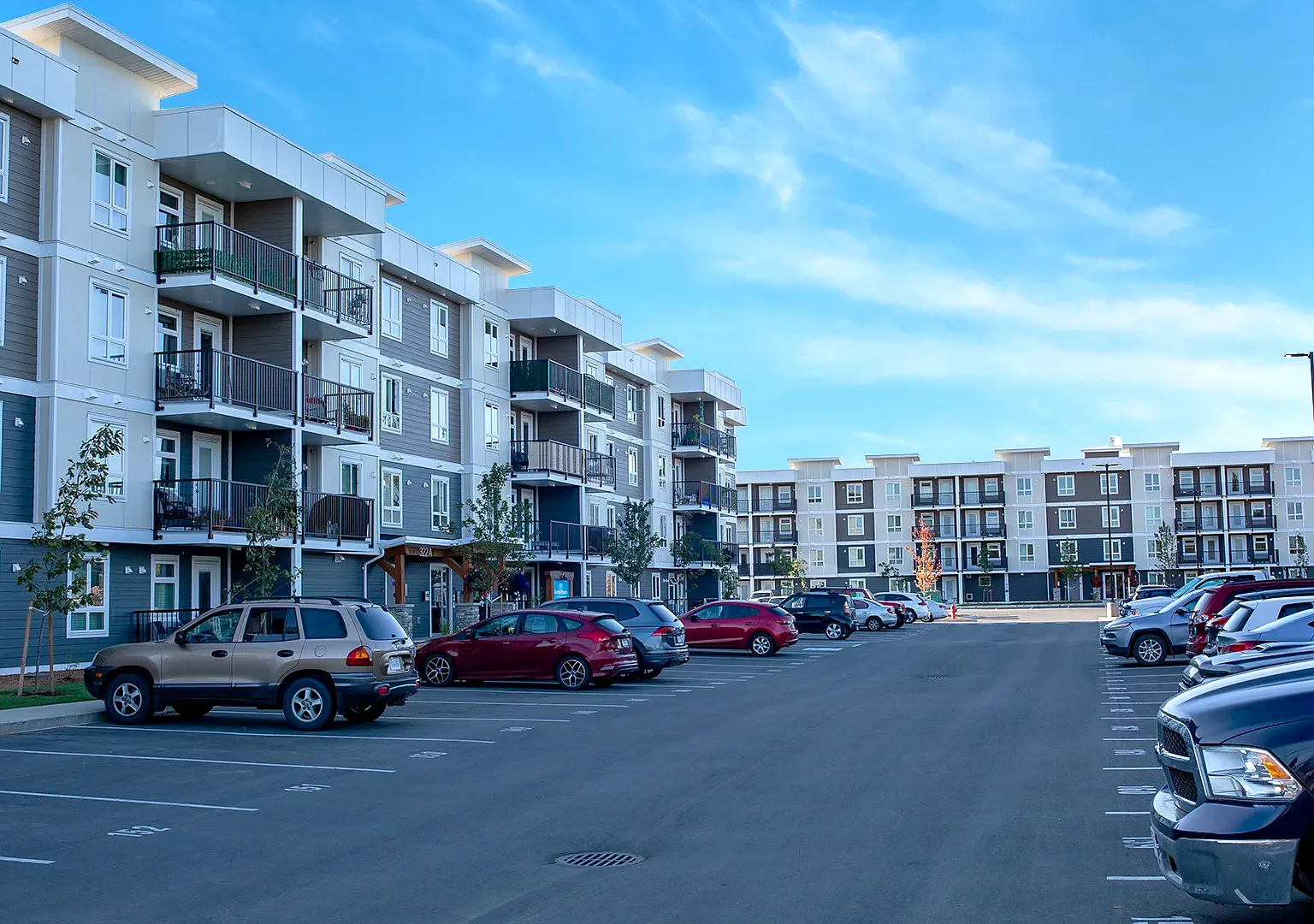 Forest Ridge Apartments — Photo 3