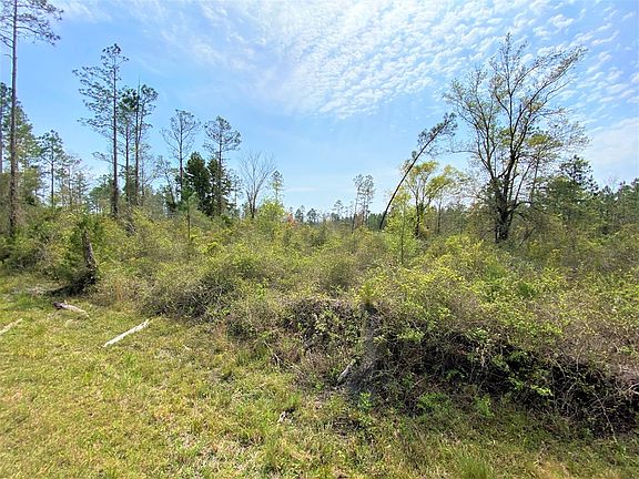4th image of LOT 2 Tbd County Road 381