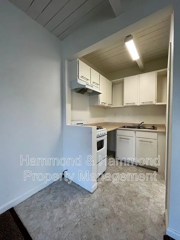 Studio, 1.0 bath, 343 sqft, $1,595 — Photo 4