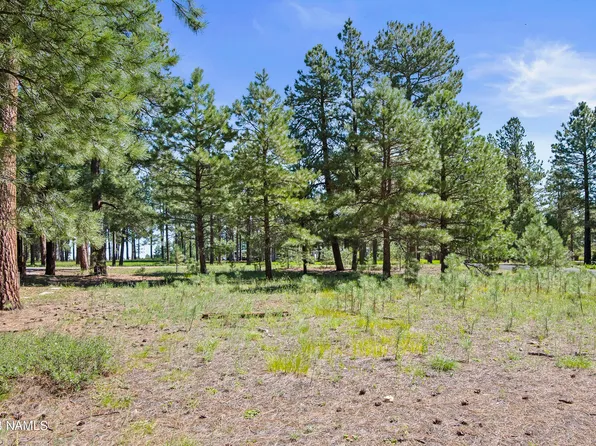 2433 Link Smith, Flagstaff, AZ 86005