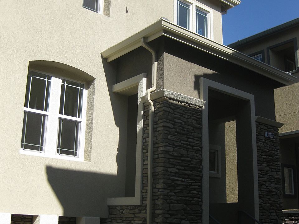 1st image of 49065 Pampas Grass Ter