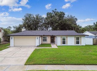 4010 Mountain Springs Ln, Tampa, FL 33624