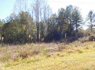 97 Latigo Loop, Sumrall, MS 39482