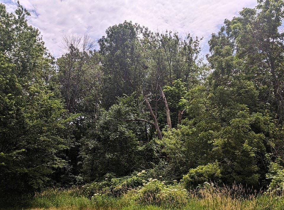 1st image of 10018 N Blacksoil Ln