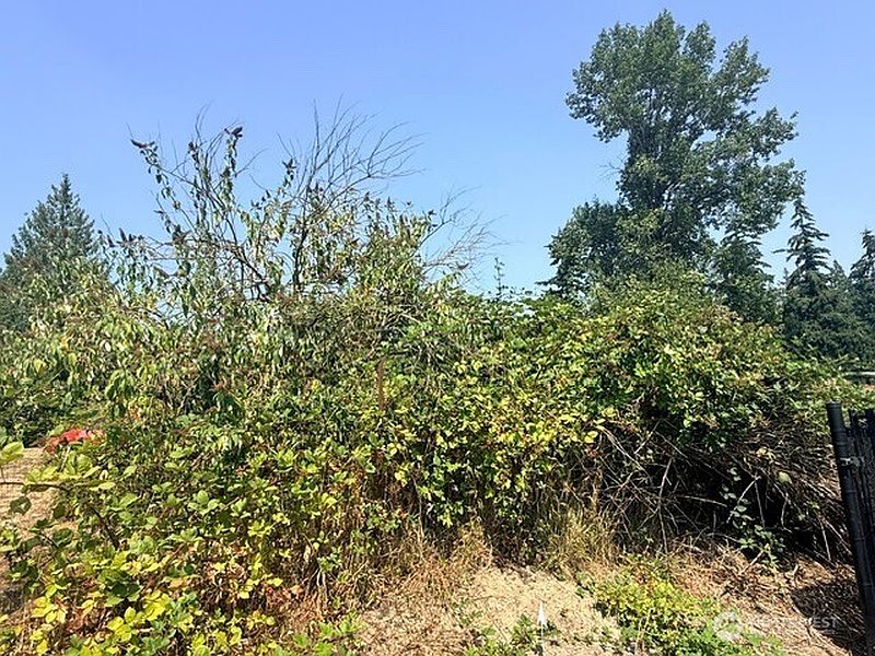 2nd image of 0 50th Avenue S