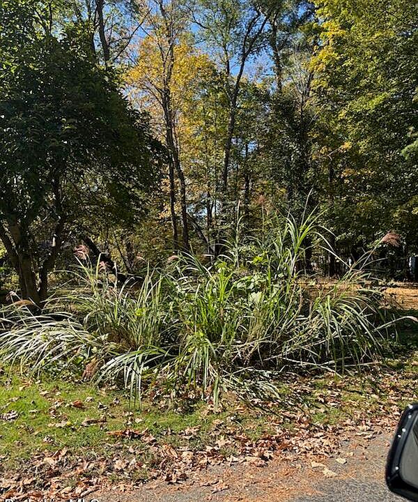 2nd image of 73 Harrison Ave