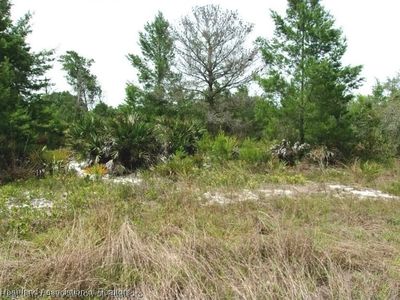 2898 W Avalon Rd, AVON PARK, FL, 33825