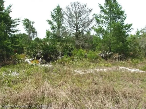 2898 W Avalon Rd, Avon Park, FL 33825
