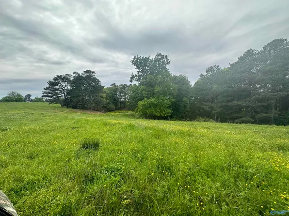 11.5 Cranford Rd, Arab, AL 35016