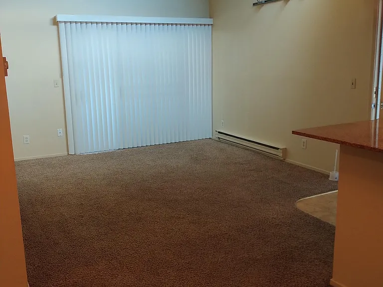 1333 N Camino Alto Rd #239 — Photo 2
