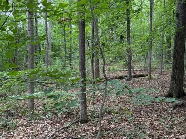 15413 Drummers Ln, Orange, VA 22960