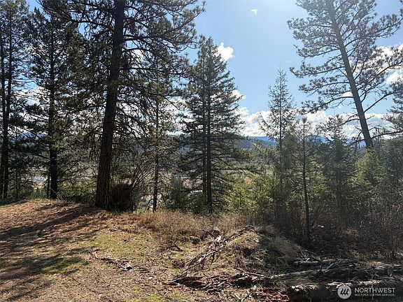 3rd image of 111 TBD West Curlew Lake Road
