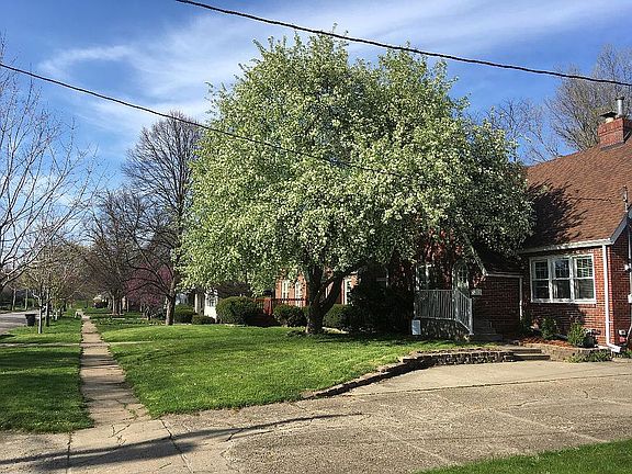 Early spring blossoms 