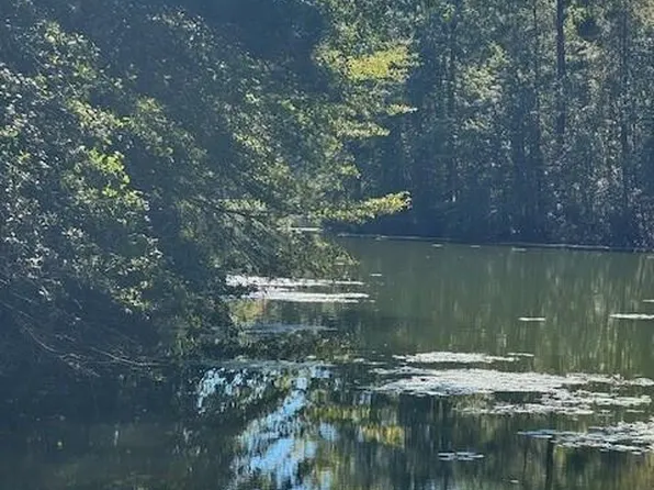 0 Poplar Creek Dr Lot 30, Elloree, SC 29047