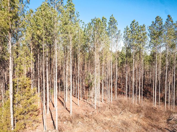 County Road 4141, New Site, MS 38859
