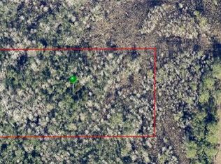 Property Location Is, Osteen, FL 32764