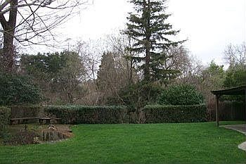 looking towards creek