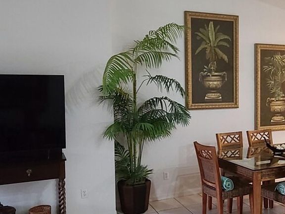 4th image of 4623 SW Santa Barbara Pl