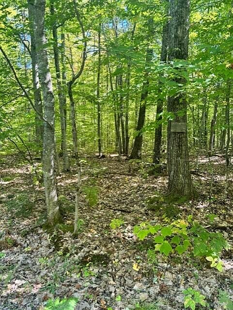 2nd image of 058-001 Watertower Lane