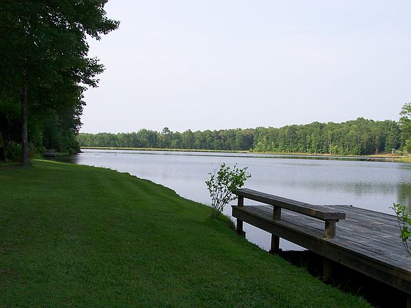 Fish for bass, perch.