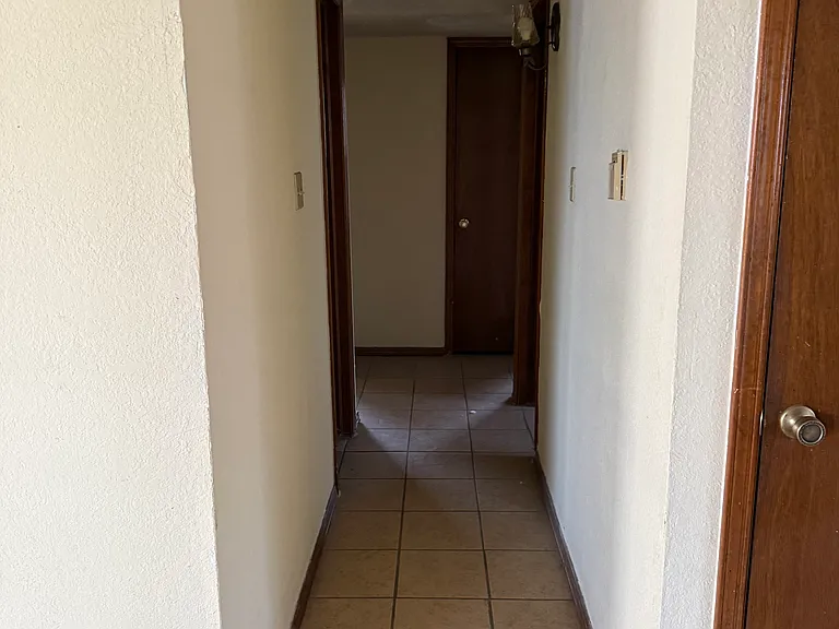 8615 Chinchilla Ln — Photo 12