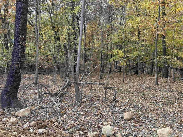 0 Miller Ln, Gilbertsville, KY 42044