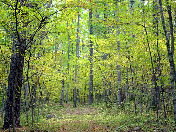 4th image of 49.5 Paradise Hill Road