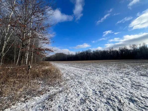 Unassigned Lynx Rd, Milaca, MN 56353