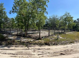 NE 102nd Ct, Bronson, FL 32621