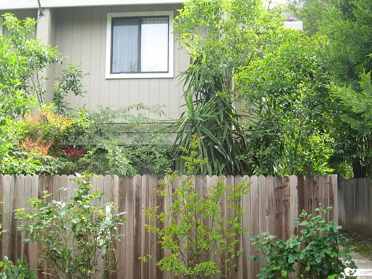 683 Adams St #3 — Photo 12