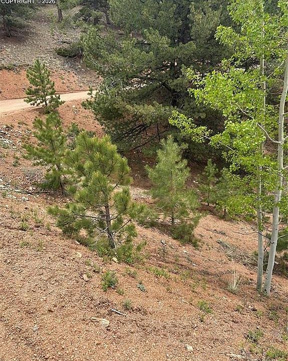 1st image of 1600 Pikes Peak Dr