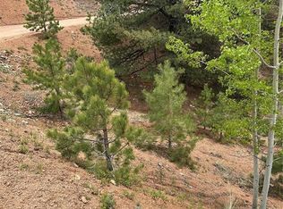 1600 Pikes Peak Dr, Divide, CO 80814