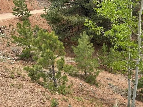 1600 Pikes Peak Dr, Divide, CO 80814