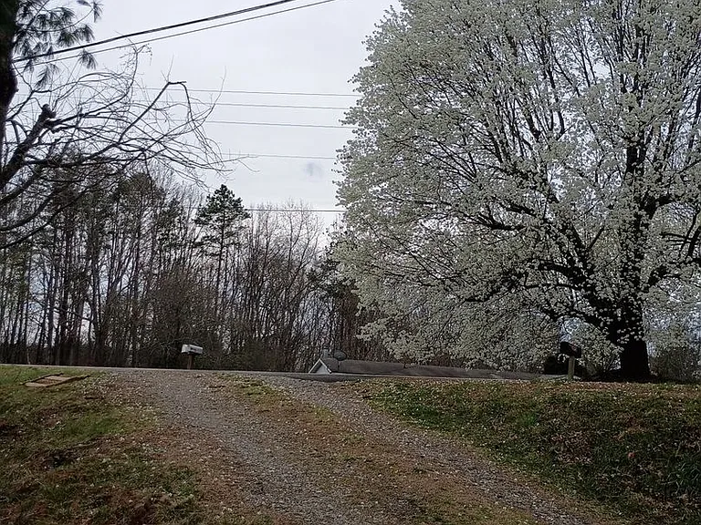 95 Eller Ford Rd — Photo 1