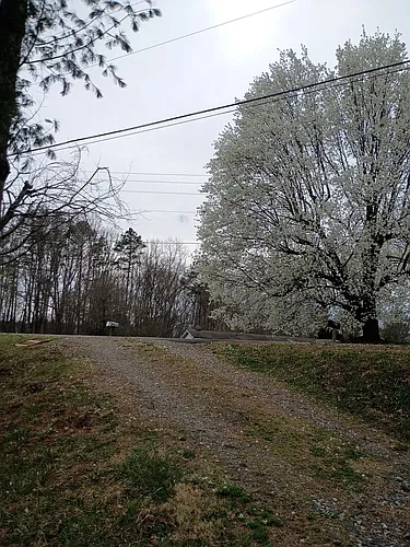 95 Eller Ford Rd Photo 1