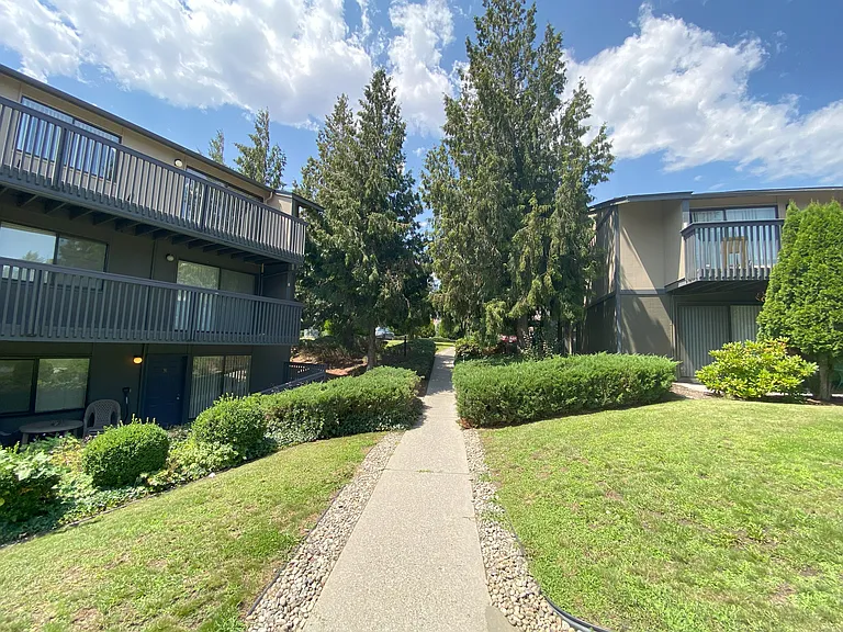 Cedarwood — Photo 32
