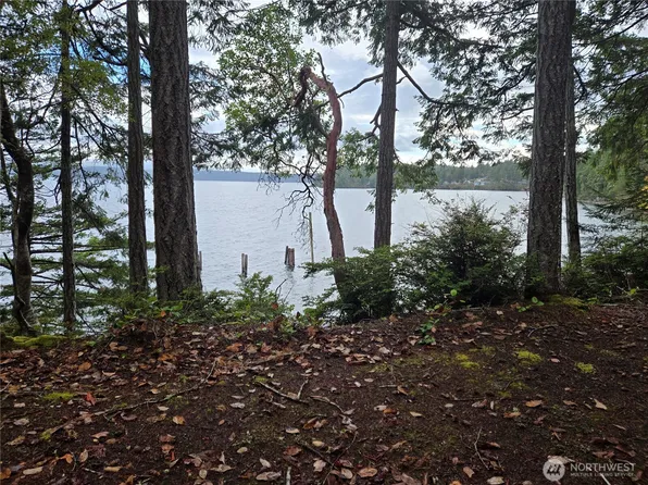 91 Pleasant Harbor Road, Brinnon, WA 98320