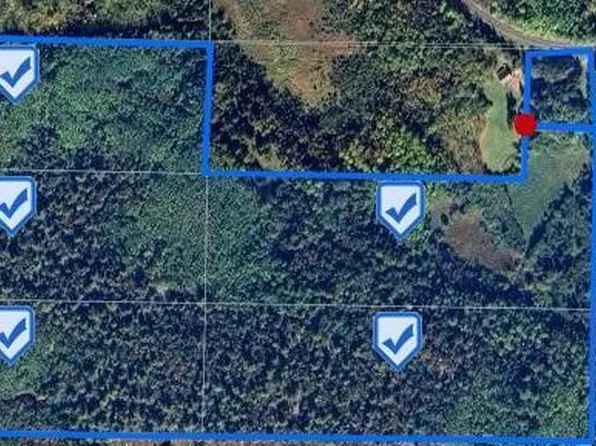 Tbd Gamma Rd, Kabetogama, MN 56669