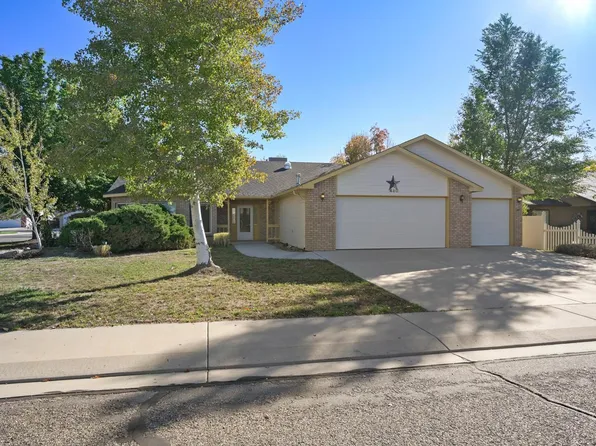 490 Forty Niner Dr, Fruita, CO 81521