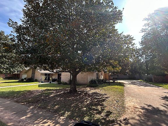 3 mature magnolia trees 