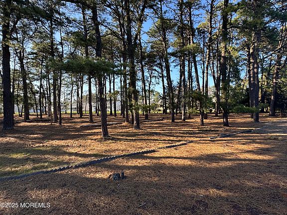 4th image of 11 Cortlandt Drive