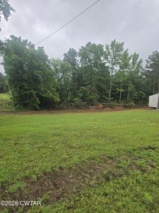 2580 Knuckles Rd, Henderson, TN, 38340