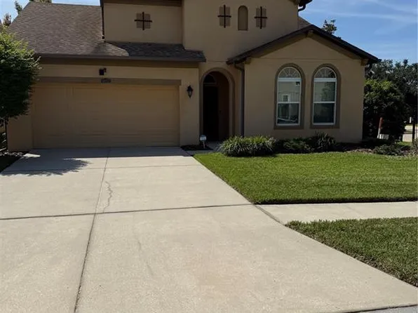 4432 Vermillion Sky Dr, Wesley Chapel, FL 33544