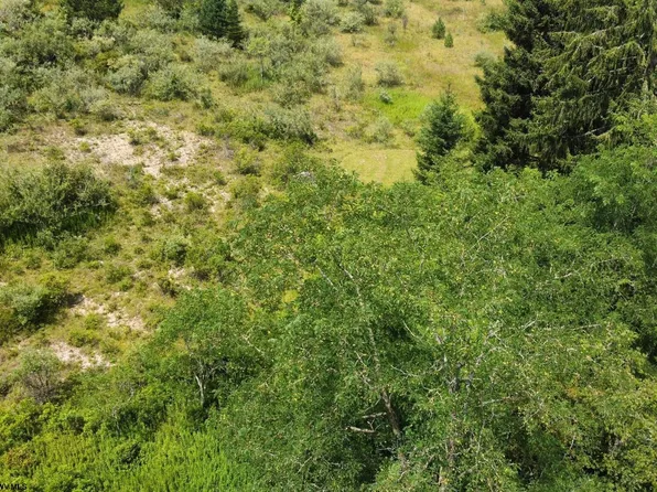 57 Bluebird Dr, Terra Alta, WV 26764