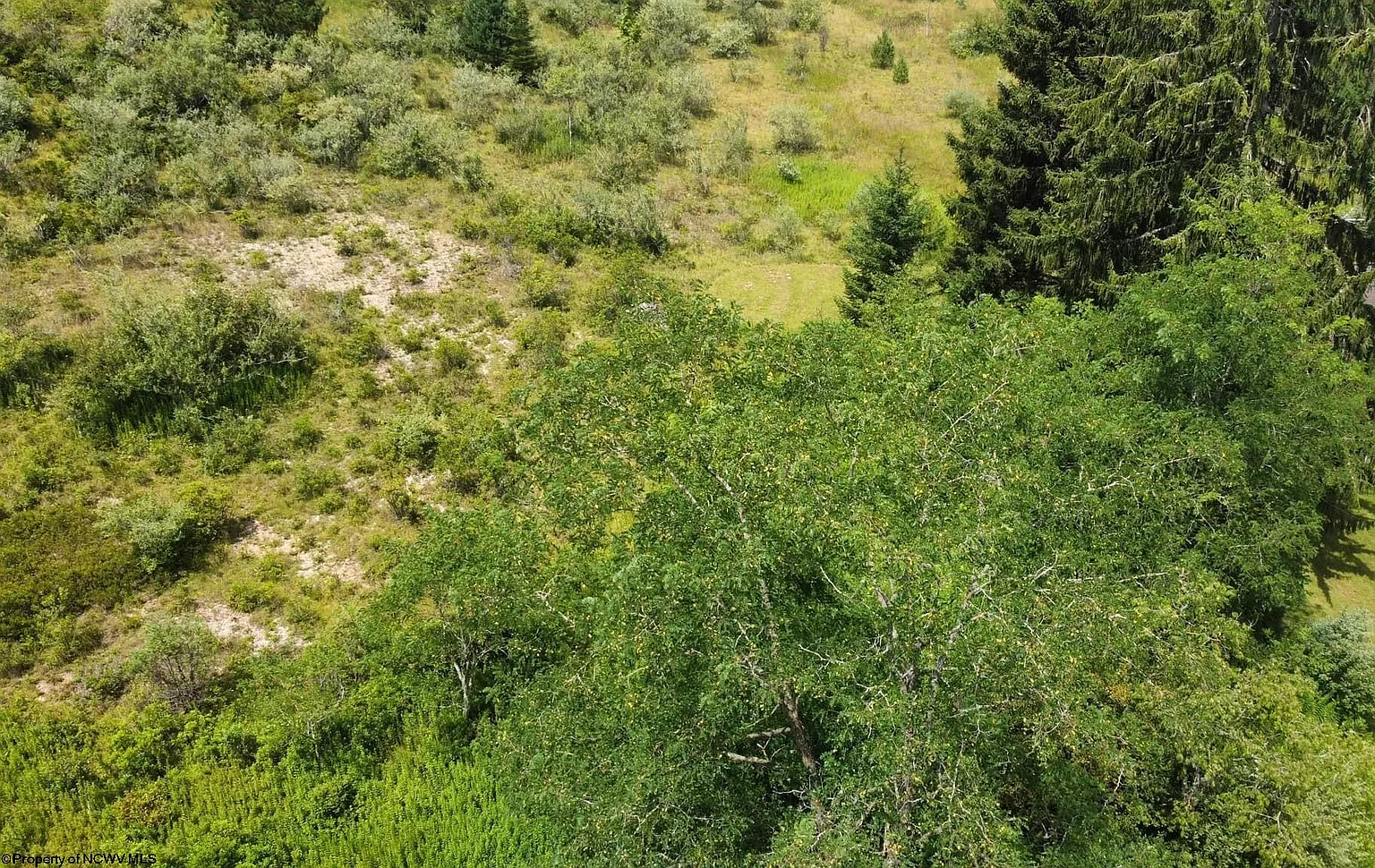 57 Bluebird Dr photo 1