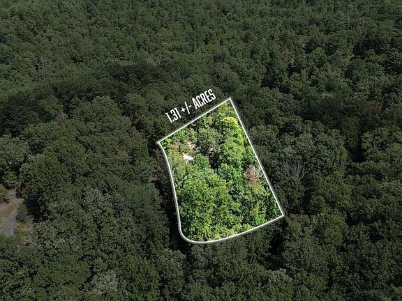 3rd image of 224 Dragon Tree Ln