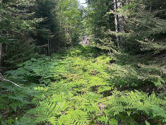 4th image of 1 Potato Patch Rd