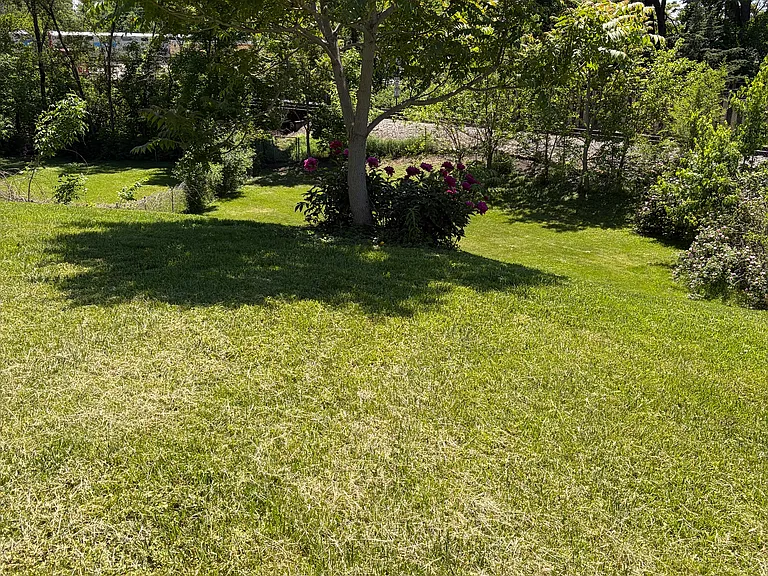315 Pierce St — Photo 16
