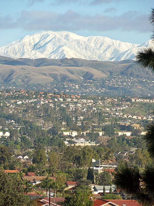 Back Yard View