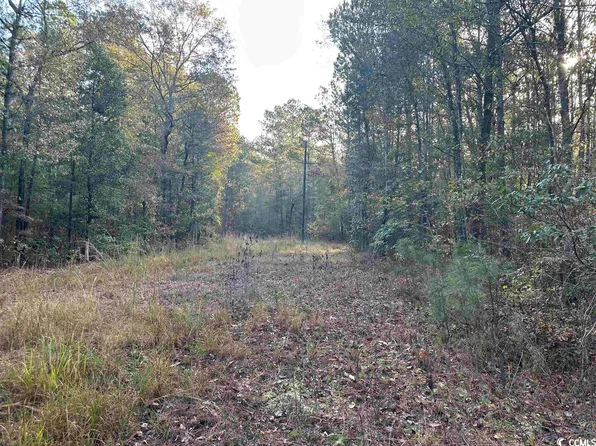 TBT Francis Marion Rd., Florence, SC 29506